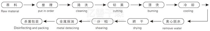 脫水蔬菜帶式幹燥工藝流程